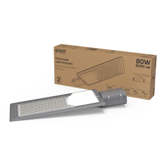 629534280 Уличный консольный светильник светодиодный Gauss 629534280