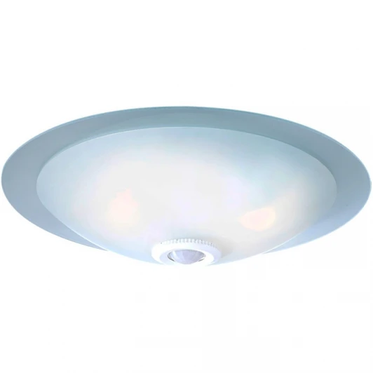 48207-2S Потолочный светильник Globo LAND 48207-2S
