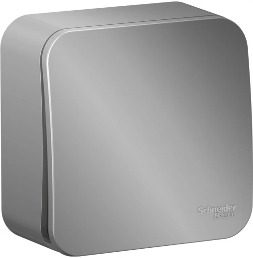 BLNVA101003 Выключатель накладной одноклавишный (алюминий) Systeme Electric Blanca BLNVA101003