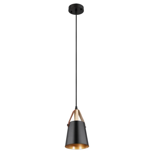 A7032SP-1BK Подвесной светильник Arte Lamp Thomas A7032SP-1BK (220V, на проводе)