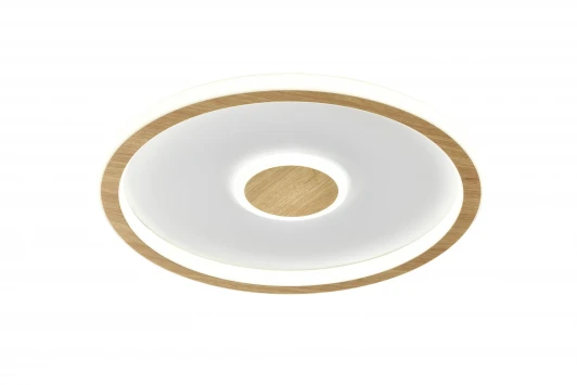 FR5421CL-L80BG Потолочный светильник светодиодный Freya Orbit FR5421CL-L80BG