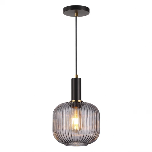 4451/1 Подвесной светильник Lumion Merlin 4451/1