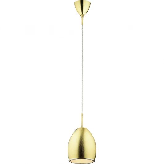 104-01-36G gold brushed Подвесной светильник N-Light 104 104-01-36G gold brushed