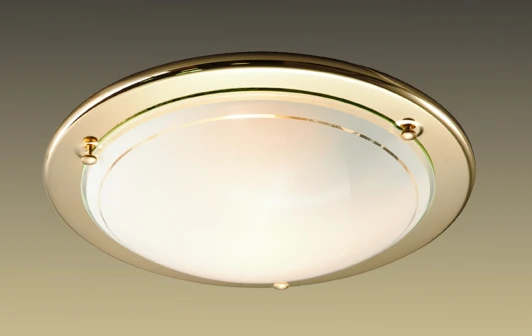 115 Настенно-потолочный светильник Sonex Riga 115