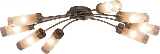 CL102181 Потолочная люстра Citilux Ovale CL102181