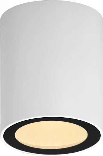 OL48 WH/BK Точечный светильник ЭРА OL48 WH/BK (220V, IP44)