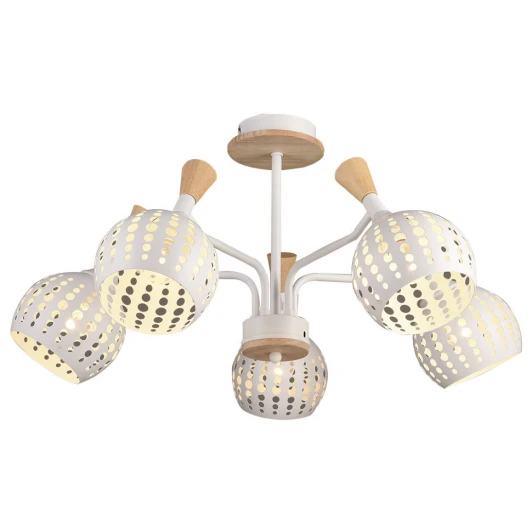 66167.01.09.05 Потолочная люстра Wedo Light Florinda 66167.01.09.05