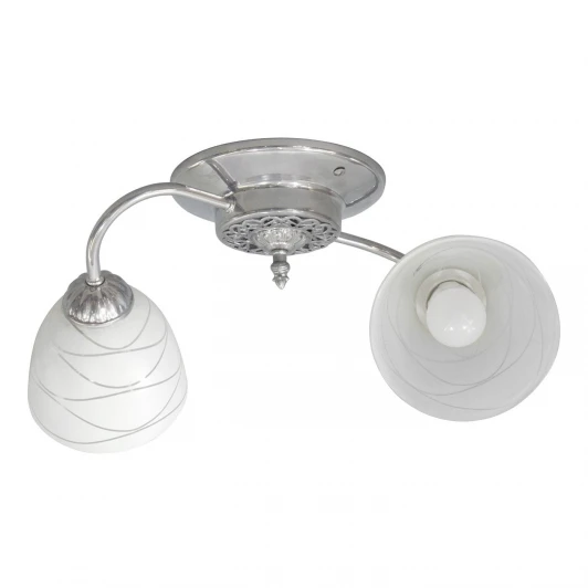 S9124-2 Люстра потолочная Day&Night, 2 плафона, хром с белым