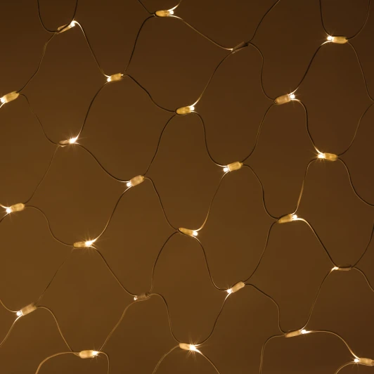 ERAPS-SK2 Гирлянда светодиодная Сети 1,5x2 м тёплый белый свет ЭРА ERAPS-SK2