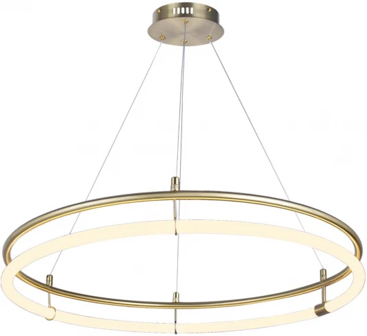 4629-8P Подвесной светильник Favourite Girth 4629-8P (LED, 220V, на тросе, кольцо)