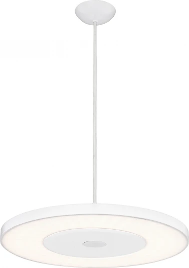 41321H Подвесной светильник Globo Felion 41321H