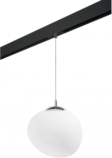 PRO805016 Трековый светильник однофазный 220V Lightstar Arnia PRO805016 (шар)