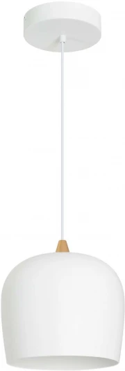 039548 Подвесной светильник LED SP-PEONY-HANG-R250-15W Warm3000 (WH, 65 deg, 230V) (Arlight, IP20 Металл) 039548