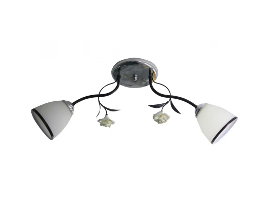 1519/2C Потолочная люстра J-Light Lucy 1519/2C