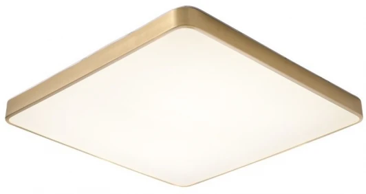 ZRS.1209.07 Потолочный светильник Zortes Monna ZRS.1209.07 (LED, 220V)