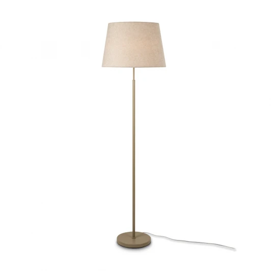 FR2057FL-01BG Торшер с выключателем Freya Butler FR2057FL-01BG