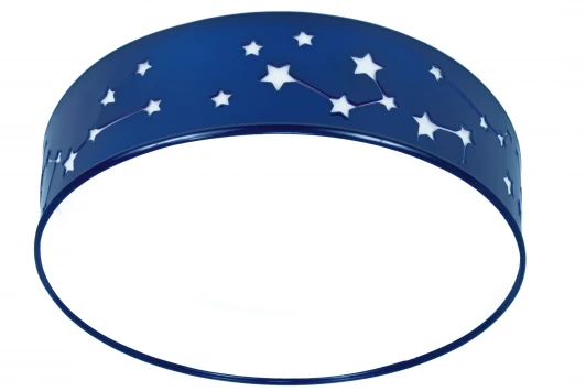 DNP1041 Потолочный светильник Day&Night Астэри DNP1041