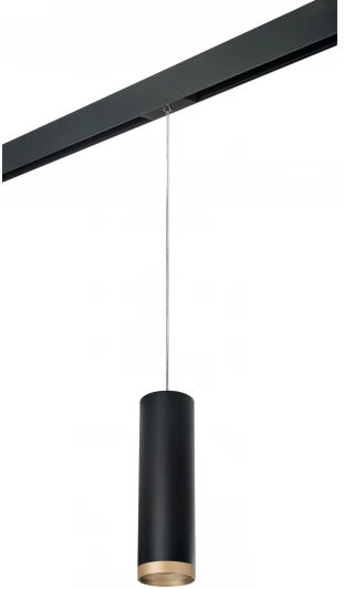 PRORP649790 Трековый светильник однофазный 220V Lightstar Rullo PRORP649790 (круглые)