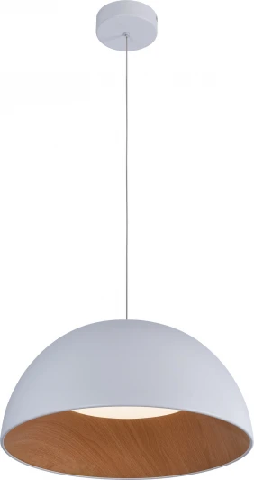 F0724-16 Подвесной светильник Alfa Light F0724-16 (LED, 220V, на проводе)