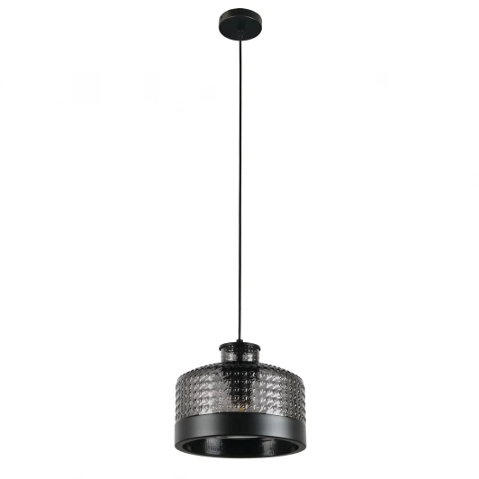 MR2484-1P Подвесной светильник MyFar Edwin MR2484-1P