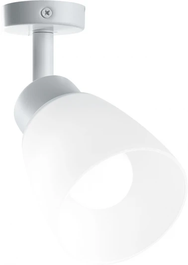 41511 Спот Feron 41511