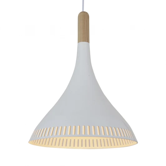 SL710.503.01 Подвесной светильник ST Luce Agilita SL710.503.01