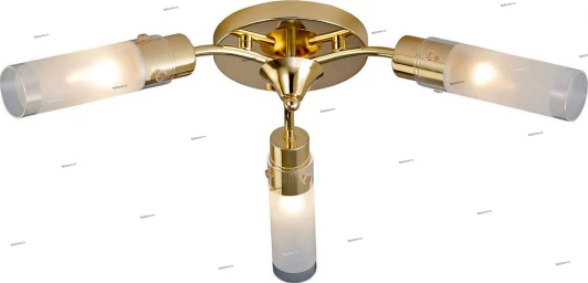 019/3PL Myone 019 019/3PL