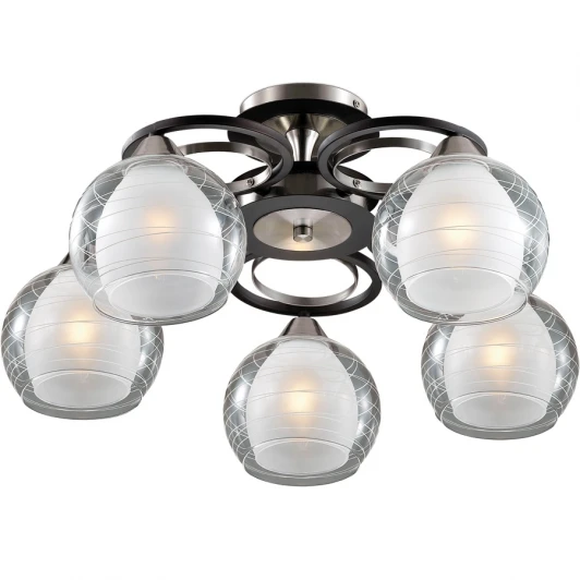 2774/5C Потолочная люстра Lumion Vesonto 2774/5C