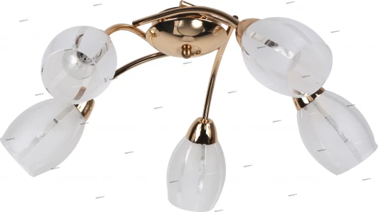 116/5PL Myone 116 116/5PL