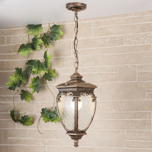 GLYF-8024H Уличный светильник подвесной Elektrostandard Andromeda черное золото GLYF-8024H (220V, на цепи, под старину, IP44)