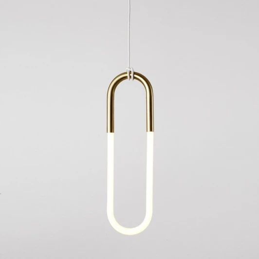 40.2052 Подвесной светильник Rudi Loop ImperiumLoft 40,2052 (85400-22) (LED, 220V, на проводе)
