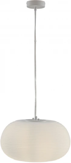 V11346-1P Подвесной светильник Moderli Arden V11346-1P (220V, на проводе, круглые)