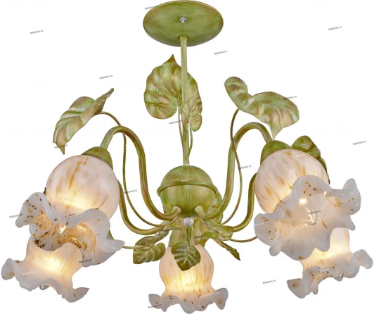 078/5PL Myone 078 078/5PL