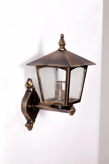 15901 L Настенный фонарь уличный Oasis Light Praga 15901 L