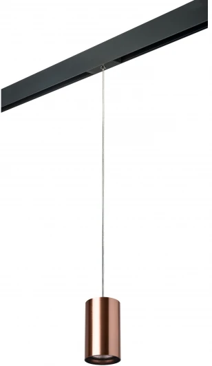 PRORP430 Трековый светильник однофазный 220V Lightstar Rullo PRORP430 (круглые)