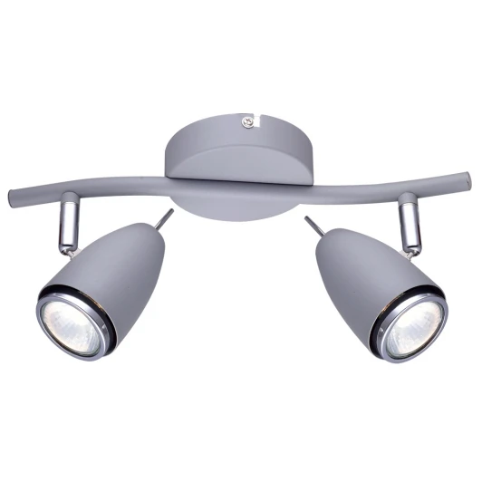 A1966AP-2GY Спот на штанге Arte Lamp Regista A1966AP-2GY (220V, круглые)