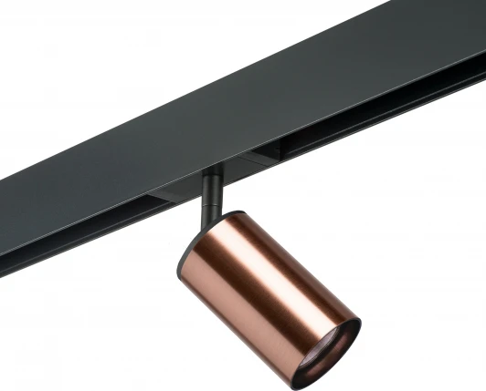 PRO430 Трековый светильник однофазный 220V Lightstar Rullo PRO430 (круглые)