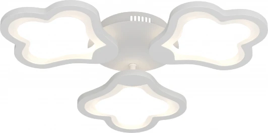 52049 2 Потолочная люстра светодиодная Ritter Carino 52049 2