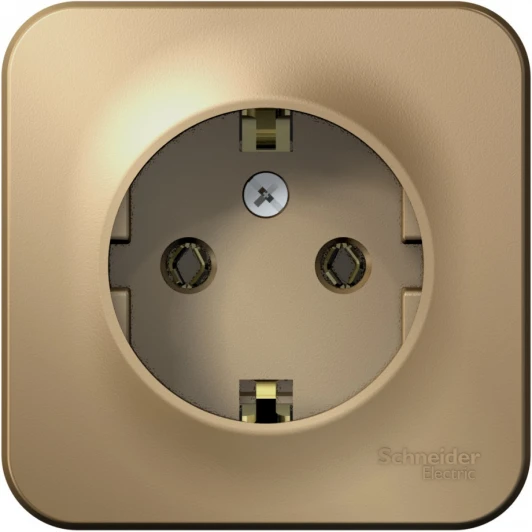 BLNRA010114 Розетка накладная с заземлением (титан) Systeme Electric Blanca BLNRA010114