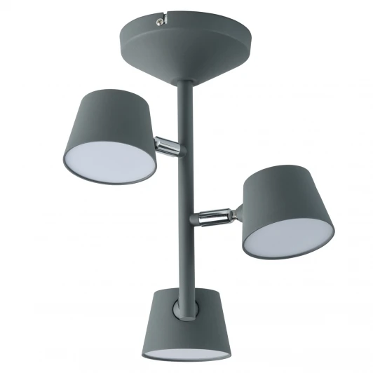 717011003 Потолочная люстра DeMarkt Хартвиг 717011003