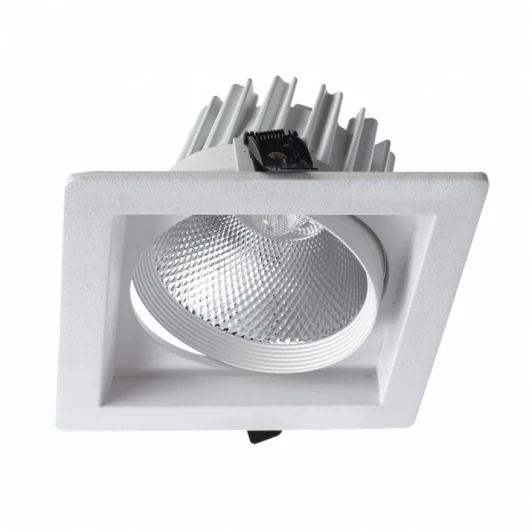 A7018PL-1WH Встраиваемый точечный светильник Arte Lamp Privato A7018PL-1WH (LED, 220V)