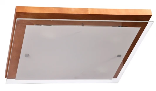 106-21-24/2H Настенно-потолочный светильник Дубравия Эко 106-21-24/2H