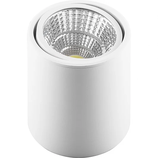 29575 Накладной точечный светильник Feron AL516 29575