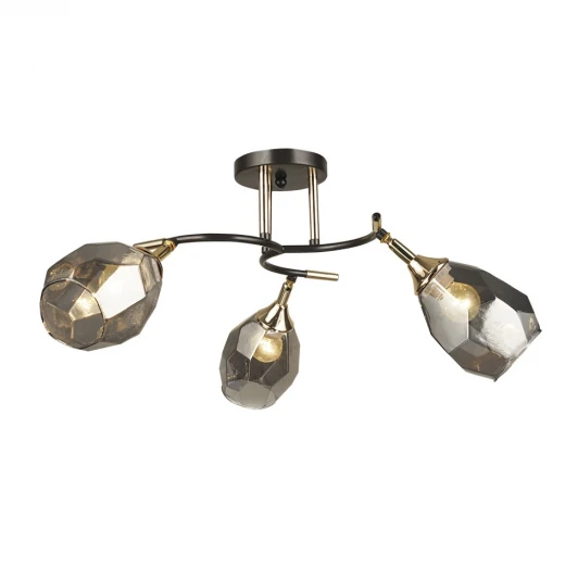 66554.01.15.03 Потолочная люстра Wedo Light Anione 66554.01.15.03