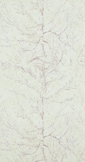 BN 17162 Рулонные обои BN International BN 17162