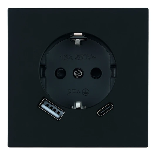 50452 Розетка 1-местная з/ш с/з 16А + USB + Type C (механизм) 250В 20W RST16-3119-05 черный бархат Stekker Мия 50452
