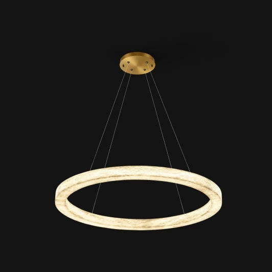 FL1030-8P Подвесная люстра Fluorite Modum FL1030-8P (LED, 220V, на тросе, кольцо)