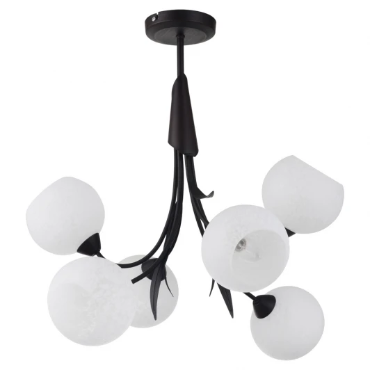LSF-6293-06 Подвесная люстра Lussole Bagheria LSF-6293-06