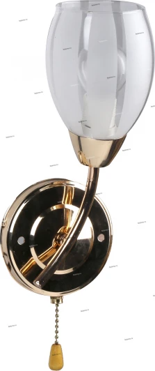 116/1A Myone 116 116/1A