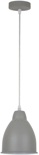 A2054SP-1GY Подвесной светильник Arte Lamp Braccio A2054SP-1GY